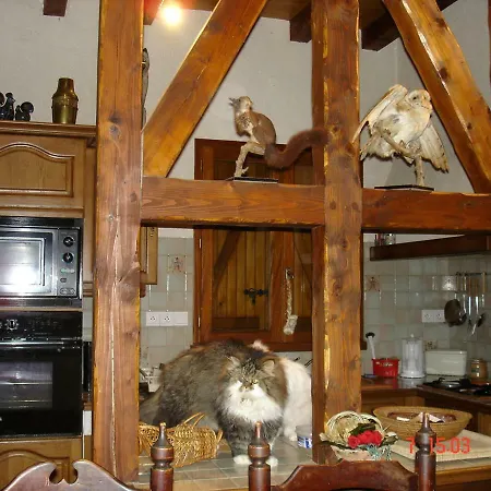 Vallee Des Nestes *